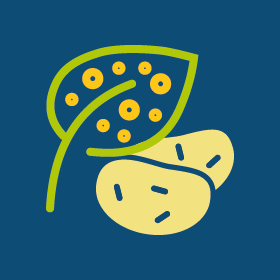 Phytophthora