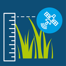 Grass Signal