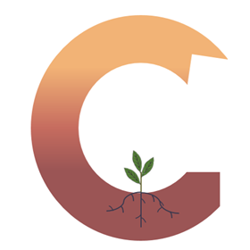 Soil C Tool